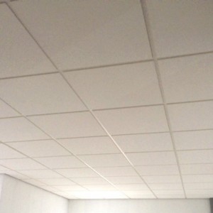 Suspended Ceilings